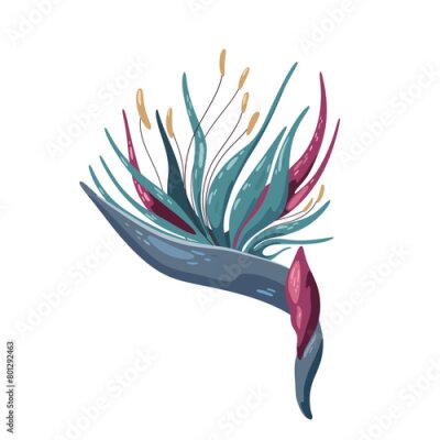 Papier peint  Vector illustration of Strelitzia reginae. Strelitzia on white background. Flowering tropical colorful plant with buds.