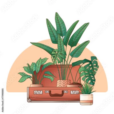 Papier peint  Vector illustration of suitcase with houseplants. Monstera, strelitzia, aglaonema, haworthia plant. Interior, home garden, potted plants concept.