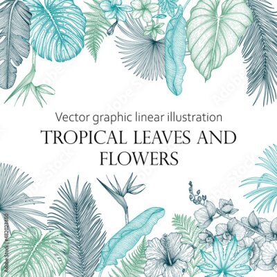 Papier peint  Vector illustration of the banner template graphic linear colored tropics. Orchid, palm leaves, hibiscus, monstera, plumeria, banana leaves, fern, strelitzia, aralia, elephant ear leaves