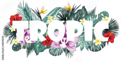 Papier peint  Vector illustration of the tropics. Exotic plants flowers and leaves. Orchid, palm leaves, hibiscus, monstera, plumeria, banana leaves, fern, strelitzia, aralia, elephant ear leaves