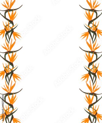 Papier peint  Vector isolated frame and textspace with tropical strelitzia flowers on corners. Vector illustration.