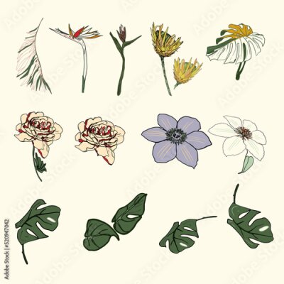 Papier peint  Vector Large set of tropical flowers and leaves for printing on textiles, a blank for designers, a logo. Rose, hibiscus, strelitzia, monstera, protea, palm.