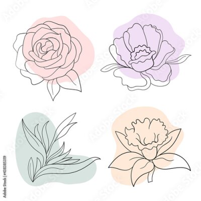 Papier peint  Vector line black illustration graphics flowers: peony, rose, strelitzia, daffodil with colors stains