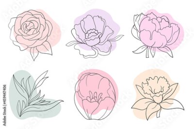 Papier peint  Vector line black illustration graphics flowers: peony, rose, strelitzia, daffodil with colors stains.