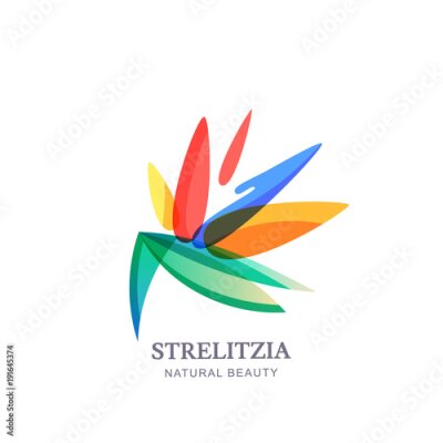 Papier peint  Vector logo icon or emblem with multicolor strelitzia tropical flower. Concept for spa and beauty salon, natural cosmetics and aesthetic cosmetology.