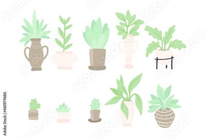 Papier peint  vector plants for home. Different indoor houseplants isolated on white background. Alocasia, begonia, fan palm, monstera, ficus, strelitzia and oxalis. Colored flat vector illustration