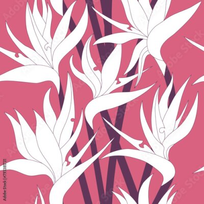 Papier peint  Vector seamless floral pattern with herbaceous plant of strelitzia. Watercolor illustration of plant of bird-of-paradis. For fabric, textile, wrapping paper, cover, package. Flowers and tropical leave