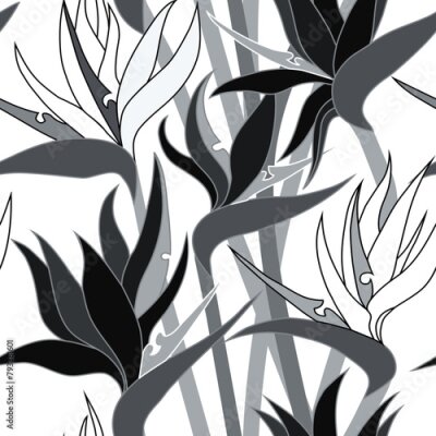 Papier peint  Vector seamless floral pattern with herbaceous plant of strelitzia. Watercolor illustration of plant of bird-of-paradis. For fabric, textile, wrapping paper, cover, package. Flowers and tropical leave