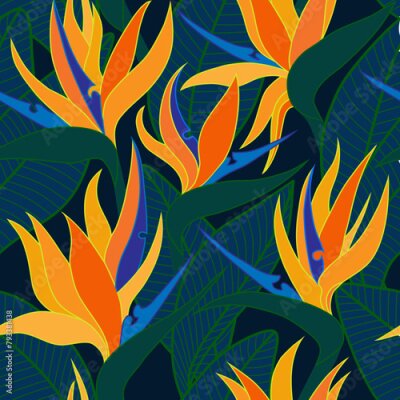 Papier peint  Vector seamless floral pattern with herbaceous plant of strelitzia. Watercolor illustration of plant of bird-of-paradis. For fabric, textile, wrapping paper, cover, package. Flowers and tropical leave
