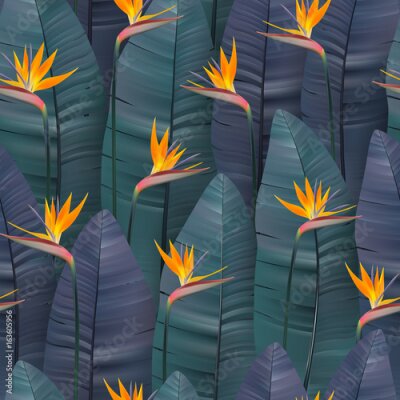 Papier peint  Vector seamless pattern avec des fleurs de strelitzia tropicales.