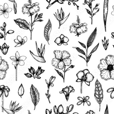 Papier peint  Vector seamless pattern of tropical flowers isolated on white background. Hand drawn floral background. Floral graphic black and white repeating ornament. Tropic design elements. Line shading style