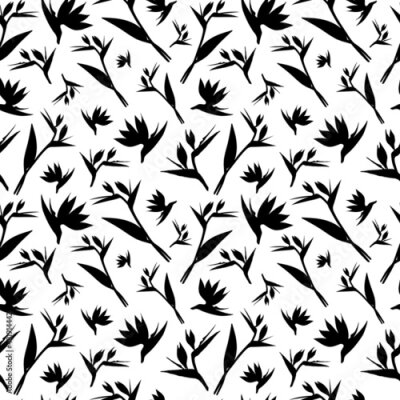 Papier peint  Vector seamless pattern. Seamless strelitzia flower pattern. Black tropical flowers isolated on white background. Strelitzia, bird of paradise, crane lily. Design for fashion textile, wallpapers.