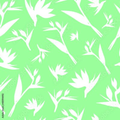 Papier peint  Vector seamless pattern. Seamless strelitzia flower pattern. White tropical flower isolated on light green background. Strelitzia, bird of paradise, crane lily. Design for fashion textile, wallpapers.