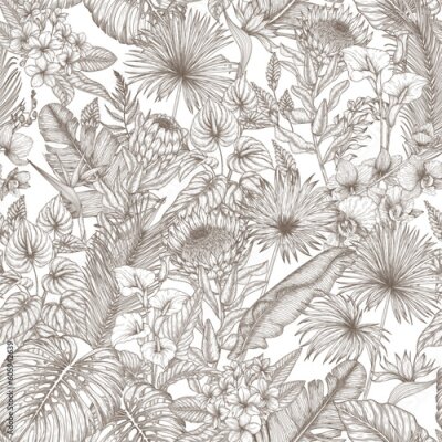 Papier peint  Vector seamless pattern tropical garden in engraving style. Anthurium, aralia, protea, palm and banana leaves, orchid, liviston, frieze, sabal, plumeria, zantedeschia, monstera, strelitzia