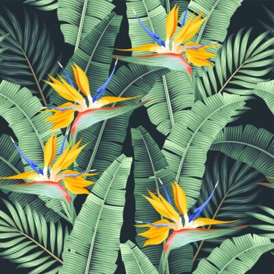 Papier peint  Vector seamless pattern with palm leaf and flower