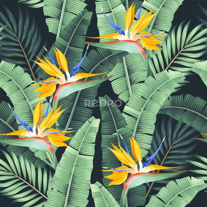 Papier peint  Vector seamless pattern with palm leaf and flower