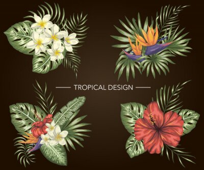 Papier peint  Vector set of tropical compositions with hibiscus,  plumeria,  strelitzia flowers,  monstera and palm leaves on black background. Bright realistic watercolor style exotic design elements.