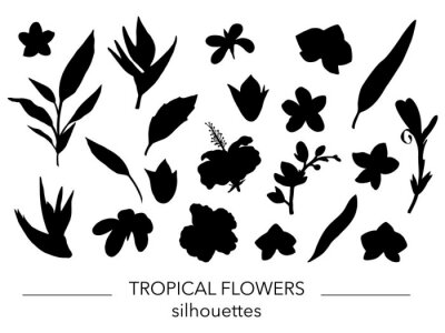 Papier peint  Vector set of tropical leaves and flowers silhouettes. Stencil of jungle foliage. Hand drawn palm tree,  banana,  monstera,  dieffenbachia,  fern,  alocasia,  plumeria, orchid,  strelitzia,  hibiscus