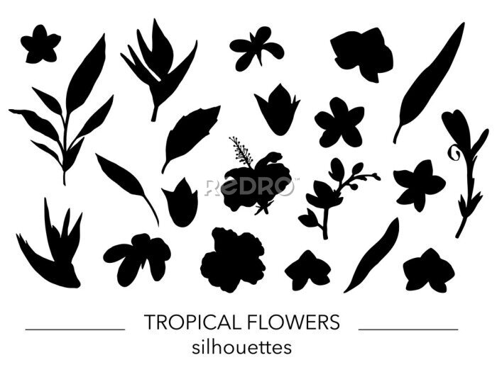 Papier peint  Vector set of tropical leaves and flowers silhouettes. Stencil of jungle foliage. Hand drawn palm tree,  banana,  monstera,  dieffenbachia,  fern,  alocasia,  plumeria, orchid,  strelitzia,  hibiscus