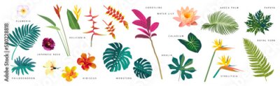 Papier peint  Vector set of tropical leaves and flowers with names isolated on white background. Monstera, strelitzia, heliconia, hibiscus, areca palm, cordyline, philodendron. Artistic botanical illustration