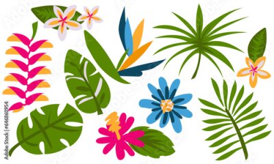 Papier peint  Vector set of tropical leaves. Palm, banana leaf and hibiscus flowers, plumeria, strelitzia, passionflower, heliconia on a white background. Collection for parties in an exotic style
