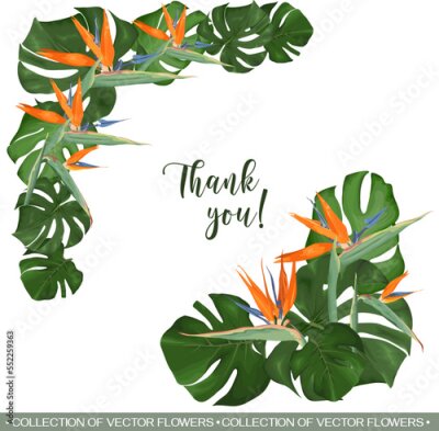 Papier peint  Vector tropical angle for floral design. Strelitzia flower, monstera leaves and palm trees. Tropical floral set 