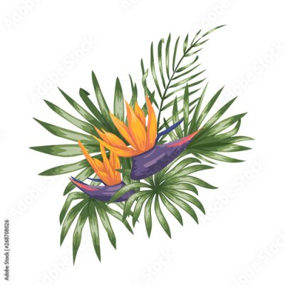 Papier peint  Vector tropical composition of strelitzia flowers,  monstera and palm leaves isolated on white background. Bright realistic watercolor style exotic design elements.