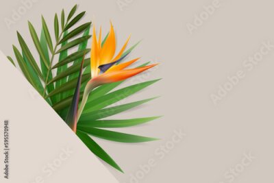 Papier peint  Vector tropical leaves and Strelitzia flower composition.
