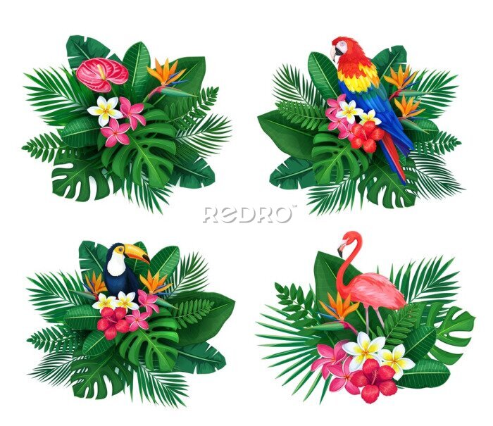 Papier peint  Vector tropical set of summertime design illustrations for ad with jungle birds, strelitzia, plumeria, palm, monstera.