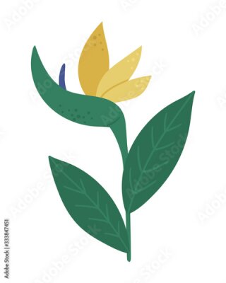 Papier peint  Vector tropical strelitzia flower isolated on white background. Bright flat style exoticbird-of-paradise design element. Summer floral clip art.