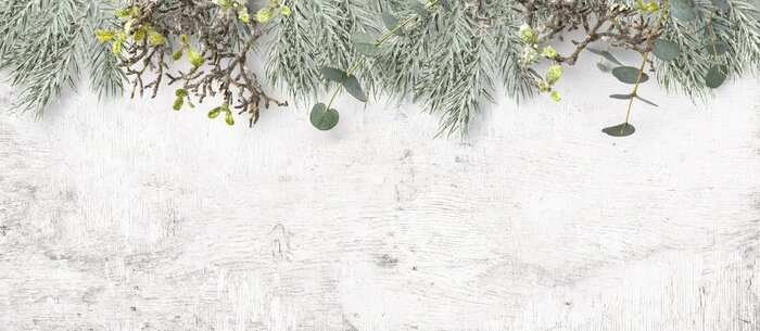 Papier peint  Végétation sur une planche de bois