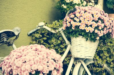 Papier peint  Vélo blanc avec des fleurs