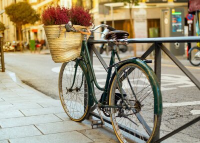 Papier peint  Vélo en ville avec des fleurs