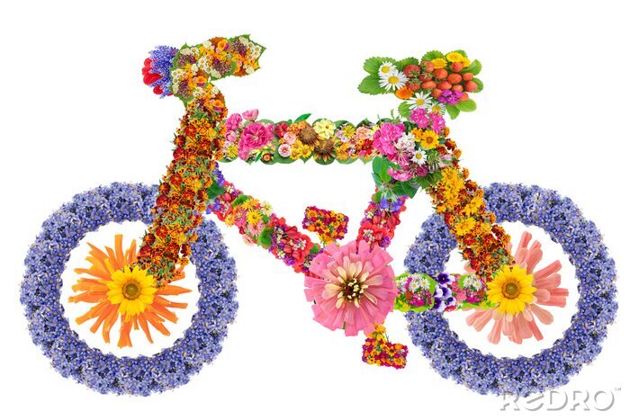 Papier peint  Vélo et fleurs de couleur