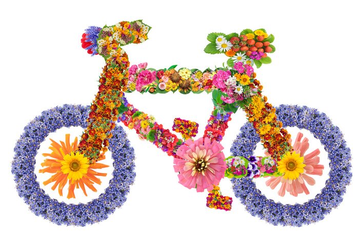 Papier peint  Vélo et fleurs de couleur