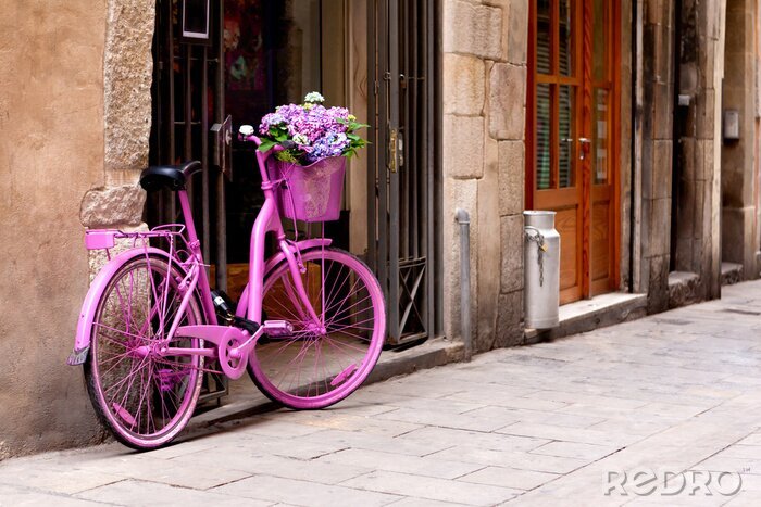 Papier peint  Vélo féminin rose