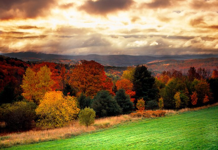 Papier peint  vermont automne faliage
