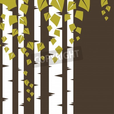 Papier peint  Version graphique des bouleaux