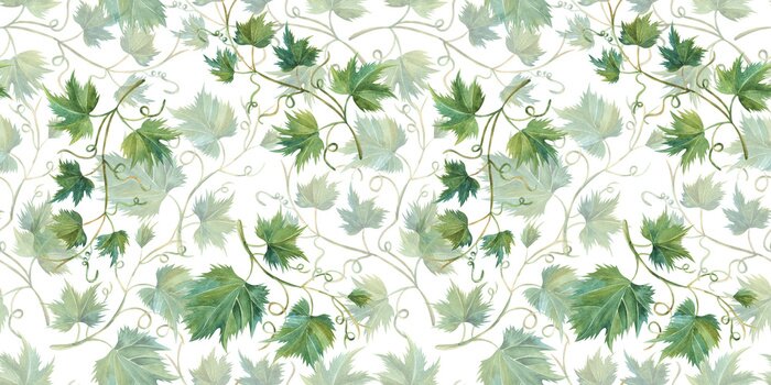 Papier peint  Vert vigne