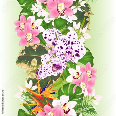 Papier peint  Vertical border seamless background tropical flowers  floral arrangement with beautiful Strelitzia  and white and pink orchids Cymbidium and phalaenopsis  palm,philodendron and ficus vintage vector 