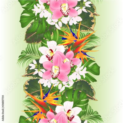 Papier peint  Vertical border seamless background tropical flowers  floral arrangement with beautiful Strelitzia  and white and pink orchids Cymbidium  palm,philodendron and ficus vintage vector illustration  edita