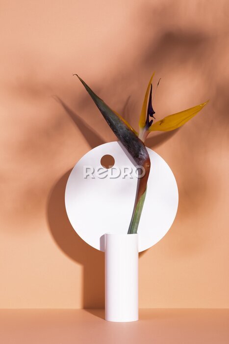 Papier peint  Vertical shot of a composition with a decorative vase and a strelitzia flower