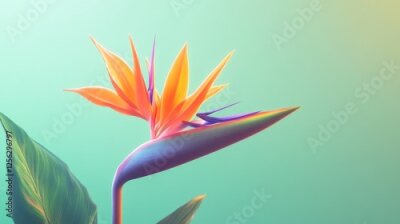 Papier peint  Vibrant orange and purple Strelitzia bird of paradise flower on a green background, tropical, exotic, vibrant, botanical, flora