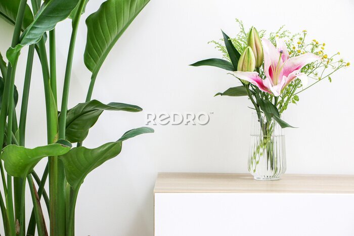 Papier peint  Vibrant plants and flowers decorating home interior, bouquet of flowers (pink lilies and daisies) in glass vase on wooden desk besides Giant White Bird of Paradise Plant (Strelitzia nicolai)