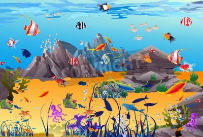 Papier peint  Vie sous-marine océanique