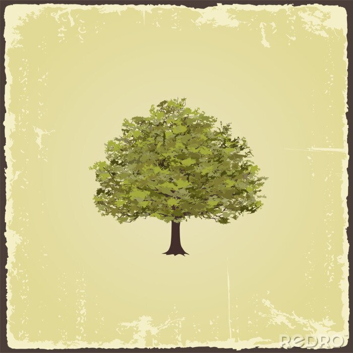 Papier peint  Vieil arbre vintage
