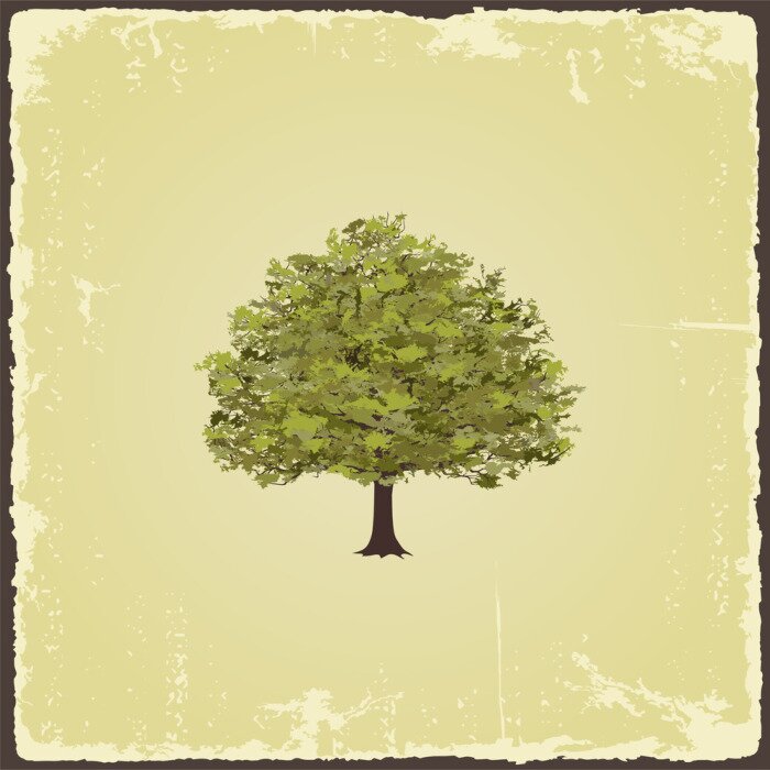 Papier peint  Vieil arbre vintage