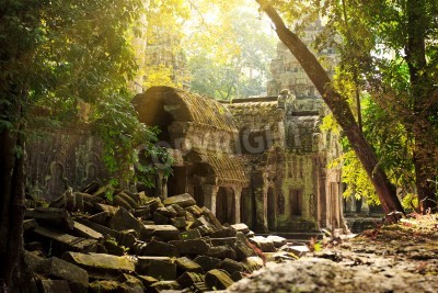 Papier peint  Vieille architecture dans la jungle