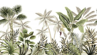 Papier peint  Vieilles feuilles de palmiers