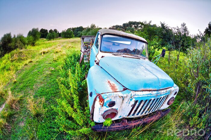 Papier peint  Vieux camion dans le domaine.
